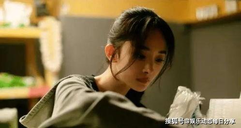 昔我晚矣我在娱乐圈吃瓜,昔我晚矣,吃瓜之旅